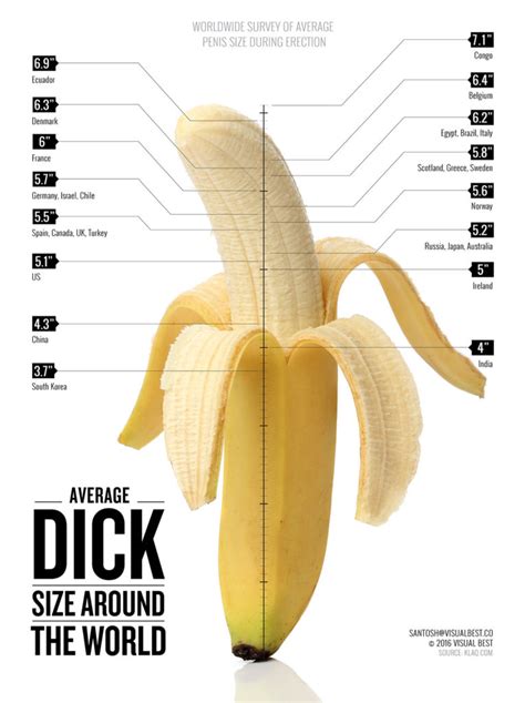 Human penis size .